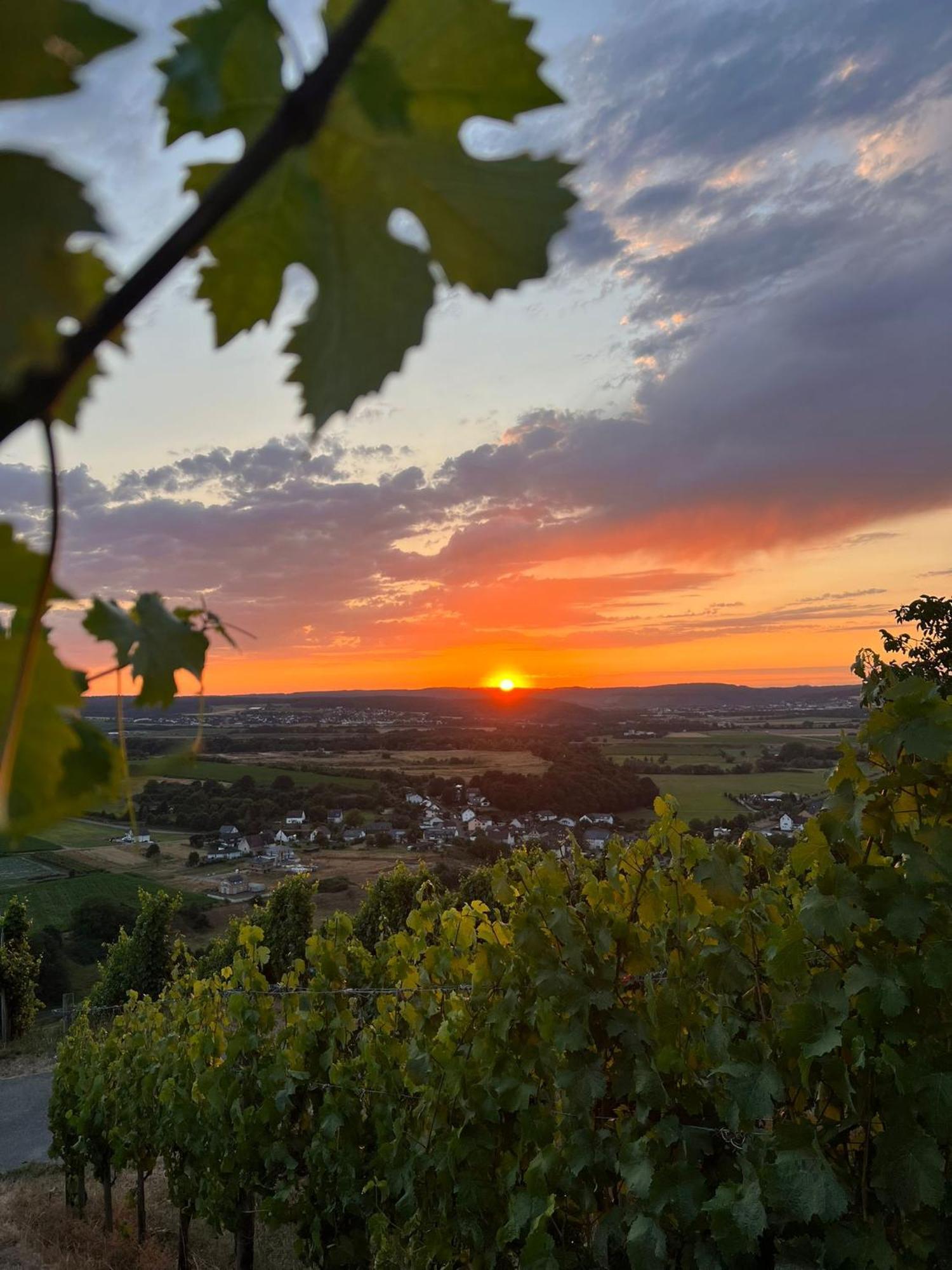 Weingut U. Gaestehaus Becker Platten Экстерьер фото